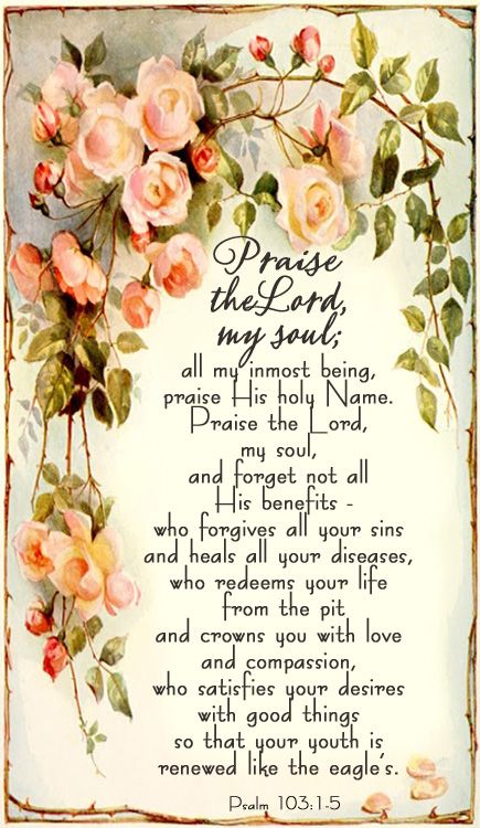 Sunday Praise Psalm 103 1 5 God Treasure